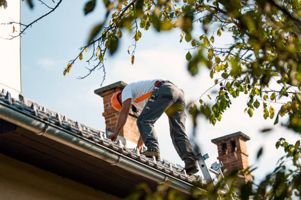 Quick and Trustworthy Emergency Roof Repair Services in Waseca, MN