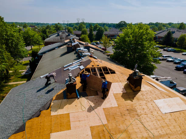 Best Flat Roof Repair Services  in Waseca, MN