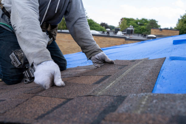Best Commercial Roofing Services  in Waseca, MN